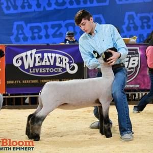 Meet your Posher, Travis